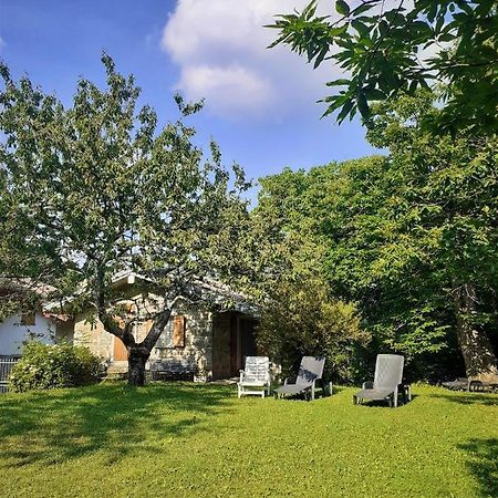 Borgo Castelluccio Country House ポッレッタ・テルメ エクステリア 写真