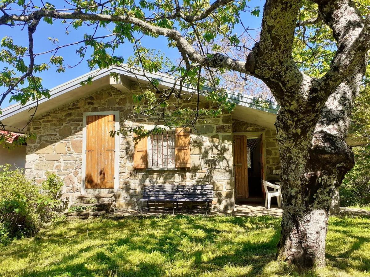 Borgo Castelluccio Country House ポッレッタ・テルメ エクステリア 写真