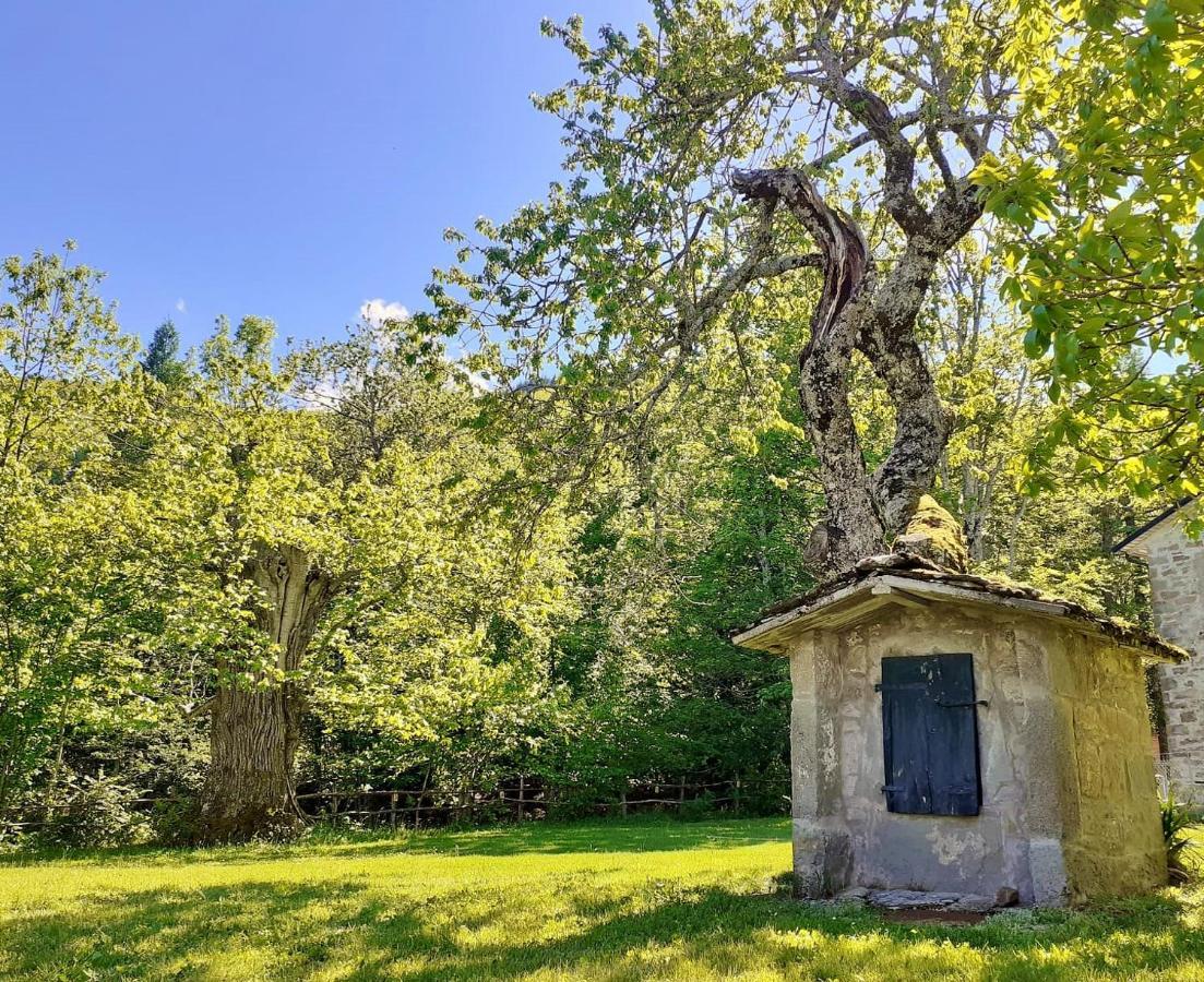 Borgo Castelluccio Country House ポッレッタ・テルメ エクステリア 写真